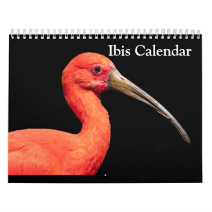 Ibis 2027 Calendar