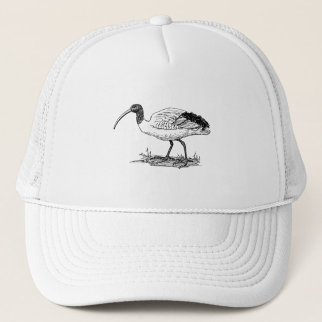 Ibis Bird Art Trucker Hat (Front)