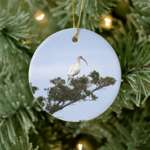 Ibis Bird Ornament