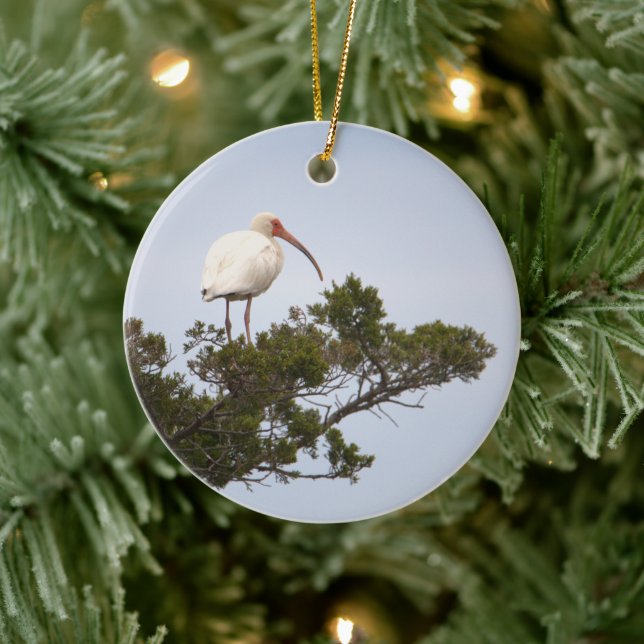 Ibis Bird Ornament (Tree)