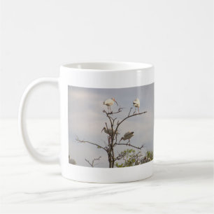 Ibis Birds Photo Mug