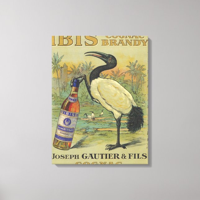 Ibis Cognac - Joseph Gautier & Fils Promo Canvas Print (Front)