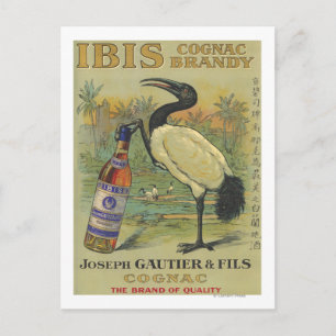 Ibis Cognac - Joseph Gautier & Fils Promo Postcard