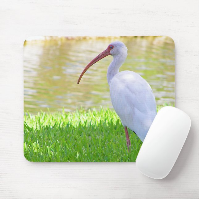 Ibis On One Leg Photograph Mouse Mat (With Mouse)