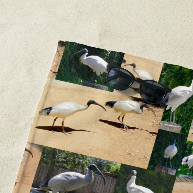 Ibis Photo Collage, Beach Towel (In Situ)