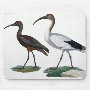 Ibises, from 'Description de l'Eypte', 1817 Mouse Mat