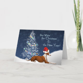 Ibizan Hound Christmas Card