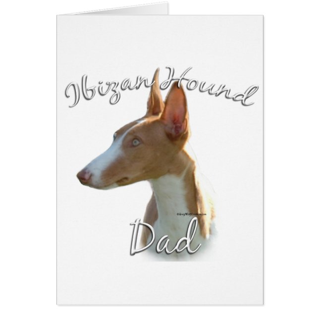 Ibizan Hound Dad 2 (Front)
