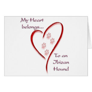 Ibizan Hound Heart Belongs