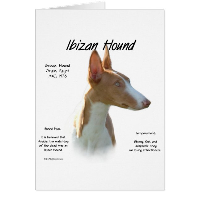 Ibizan Hound History Design (Front)