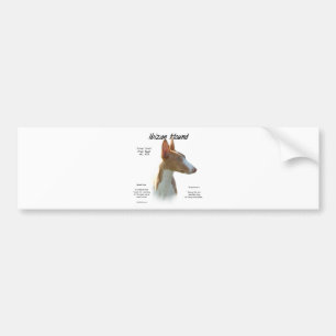 Ibizan Hound History Design Bumper Sticker