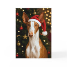 Ibizan Hound Holiday Card