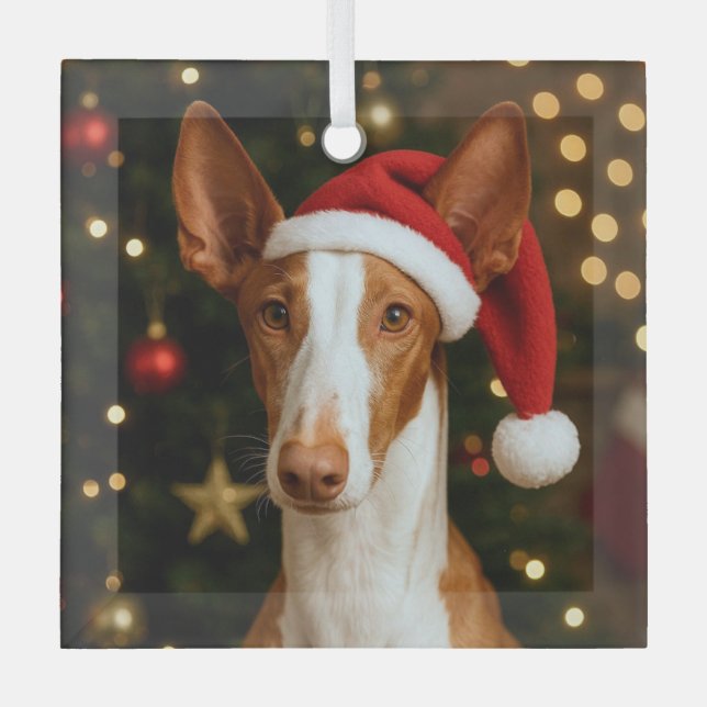 Ibizan Hound Holiday  Glass Tree Decoration (Front)
