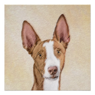 Ibizan Hound Painting - Cute Original Dog Art Poster