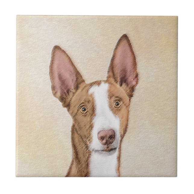 Ibizan Hound Painting - Cute Original Dog Art Tile (Front)