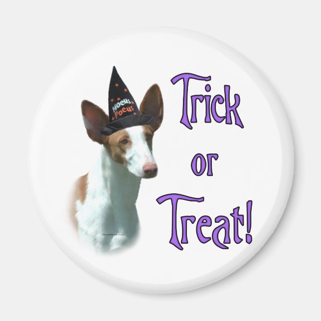 Ibizan Hound Trick Magnet (Front)