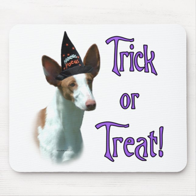 Ibizan Hound Trick Mouse Mat (Front)