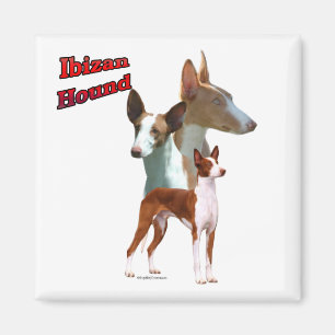 Ibizan Hound Trio 2 - Magnet