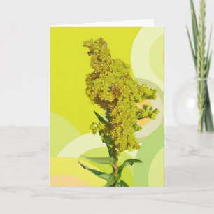 IBSP Beach Solidago (Goldenrod) Note Card