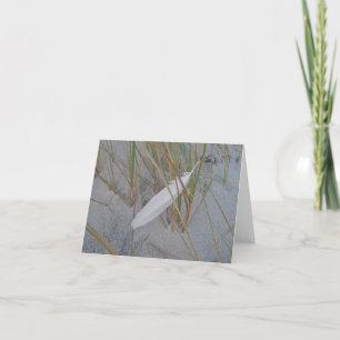IBSP Seagull Feather in Dune Grass Note Card