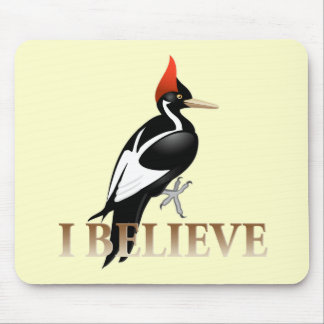 IBWO: I Believe Mouse Mat