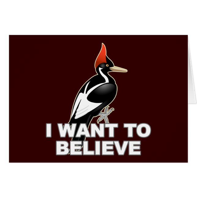 IBWO: I Want To Believe (Front Horizontal)