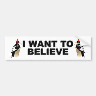 IBWO: I Want To Believe Bumper Sticker