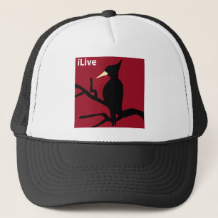 IBWO: iLive Trucker Hat