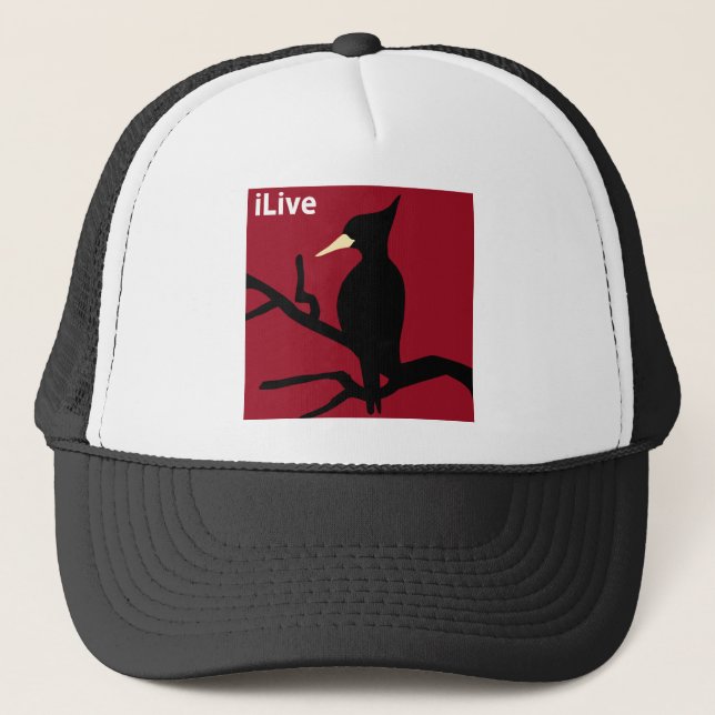 IBWO: iLive Trucker Hat (Front)
