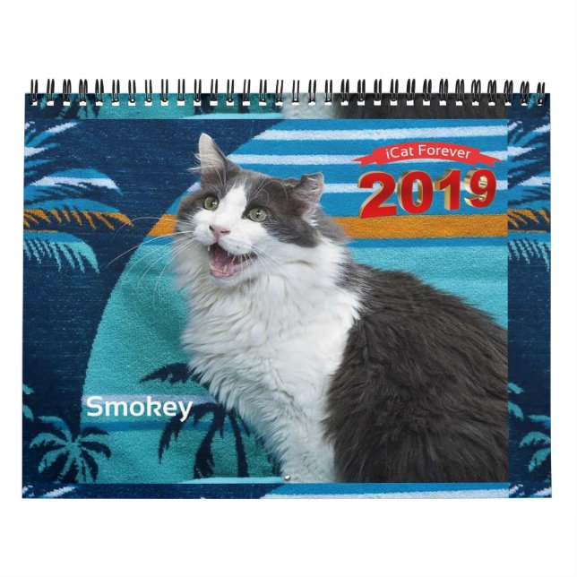 iCat Forever 2019 Calendar (Cover)