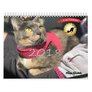 iCat Forever Contest Calendar