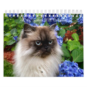 ICatz Forever 2020 Team Calendar