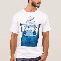 Ice Bear Climate Change Polar Bears Melting Poles