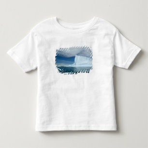 Ice Bergs off of the southern tip of South 2 Toddler T-Shirt