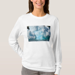 Ice Bergs off of the southern tip of South T-Shirt