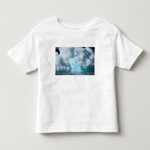 Ice Bergs off of the southern tip of South Toddler T-Shirt