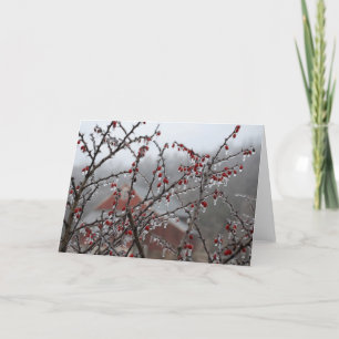 Ice Berries Card