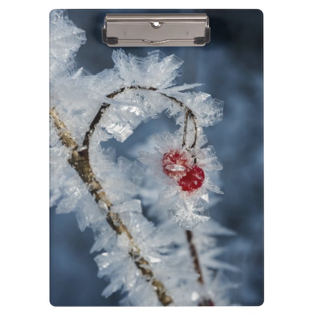 Ice Berries Clipboard (Front)