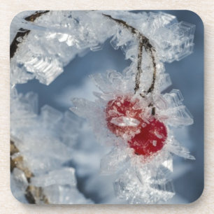 Ice Berries Coaster