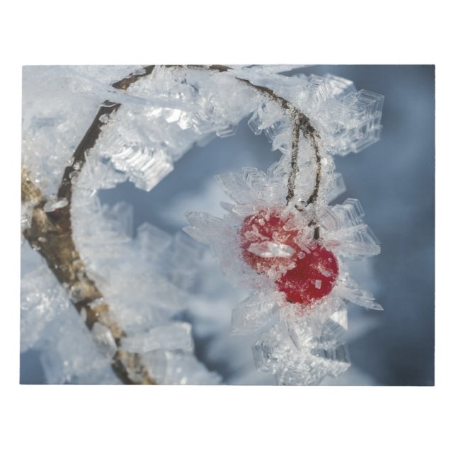 Ice Berries Notepad (Front)