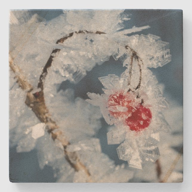 Ice Berries Stone Coaster (Front)