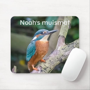 Ice bird mouse mat