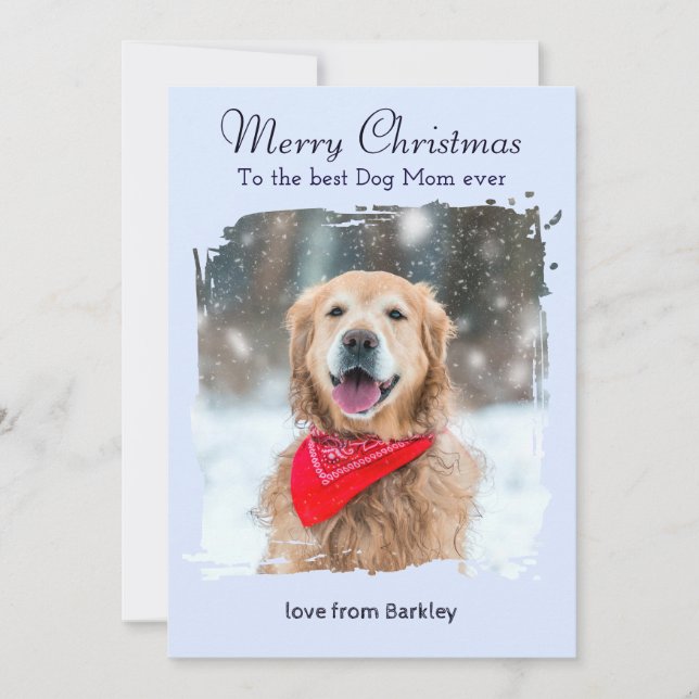 Ice Blue Winter Dog Mum Custom Pet Photo Christmas Holiday Card (Front)