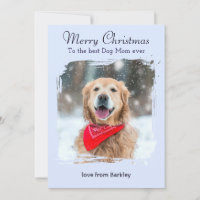 Ice Blue Winter Dog Mum Custom Pet Photo Christmas
