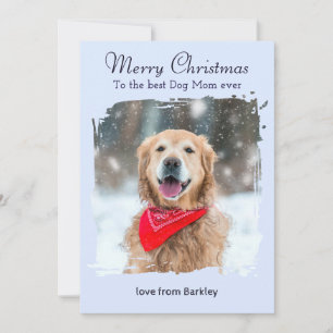 Ice Blue Winter Dog Mum Custom Pet Photo Christmas Holiday Card