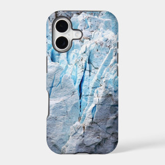 Ice case