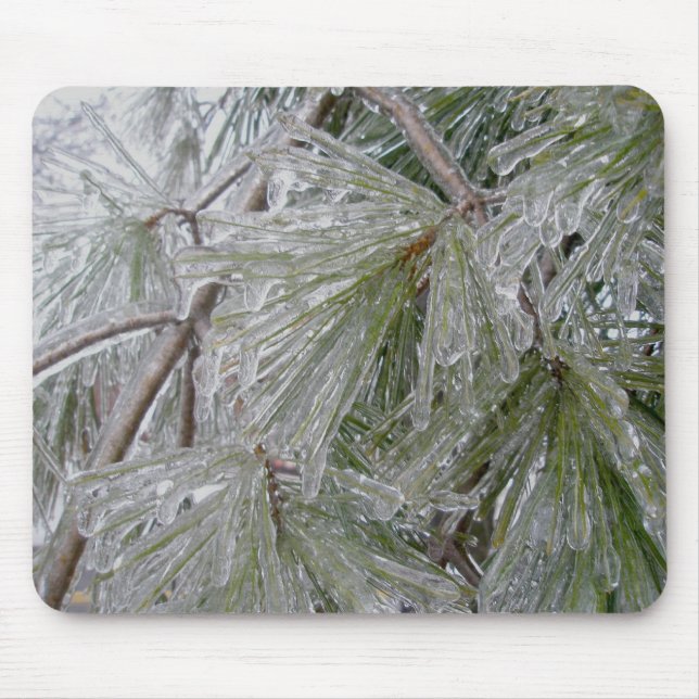 Ice-Coated Pine Bough Mousepad (Front)