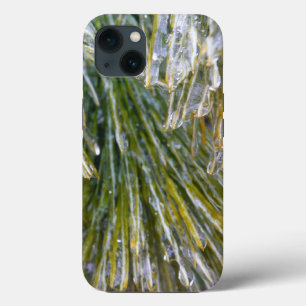 Ice Coated Pine Needles Winter Botanical iPhone 13 Case