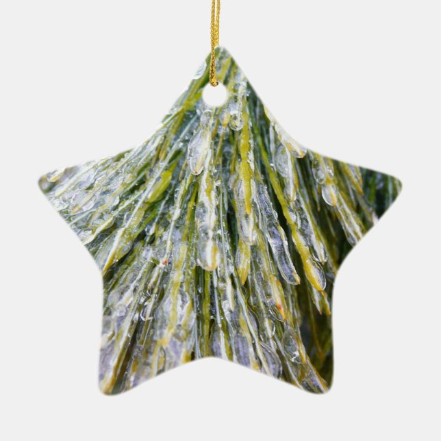 Ice Coated Pine Needles Winter Botanical Ceramic Tree Decoration (Front)