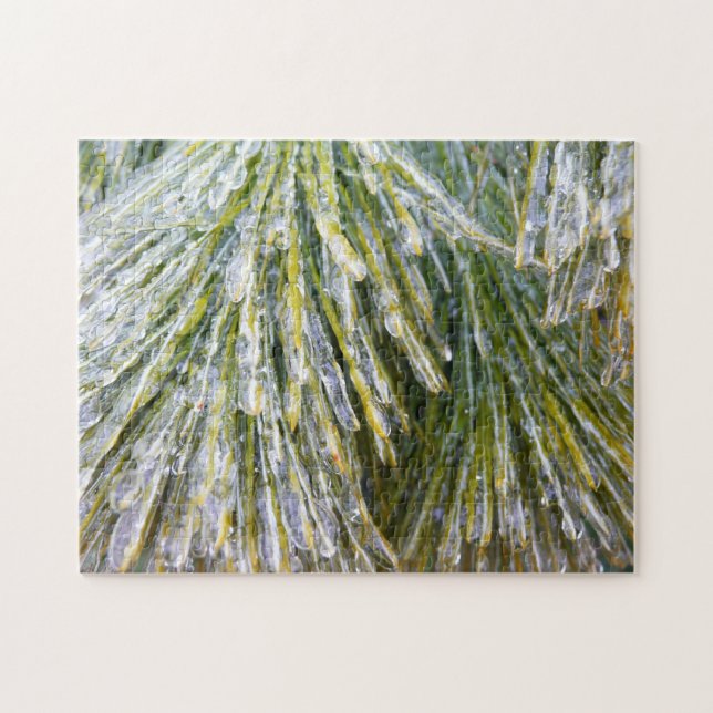 Ice Coated Pine Needles Winter Botanical Jigsaw Puzzle (Horizontal)